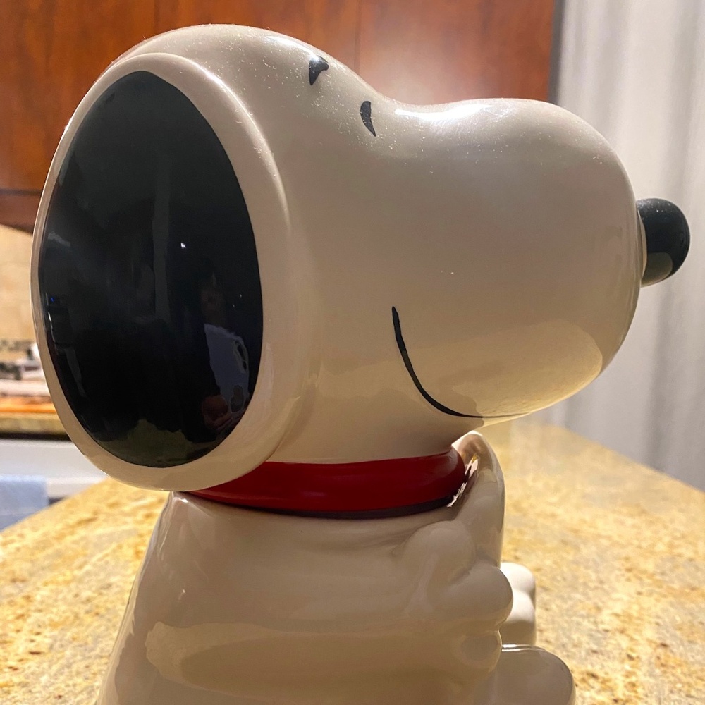 Meet your Posher, Junie